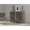 Komoda Rumba 2F GRDL21 szara - dąb lefkas 40x97cm